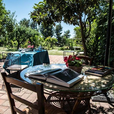 B&B Valle Allegra Gravina di Catania Eksteriør bilde